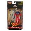 Hasbro Marvel Legends Series X-Men Marvel’s Vulcan Action Figure 6-inch Collectible Toy -Hasbro Shop F3690 PROD MVL EEK4 0010 Online 2000SQ