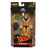 Hasbro Marvel Legends Series X-Men 6-inch Sabretooth Action Figure 6-Inch Collectible Toy